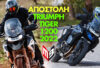 tiger-1200-2022
