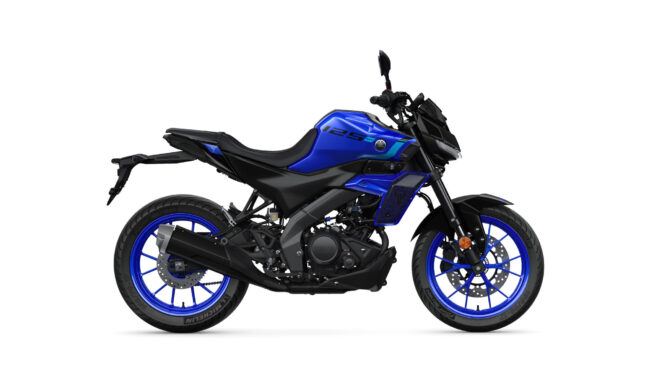 Icon Blue