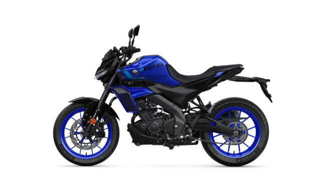 Icon Blue